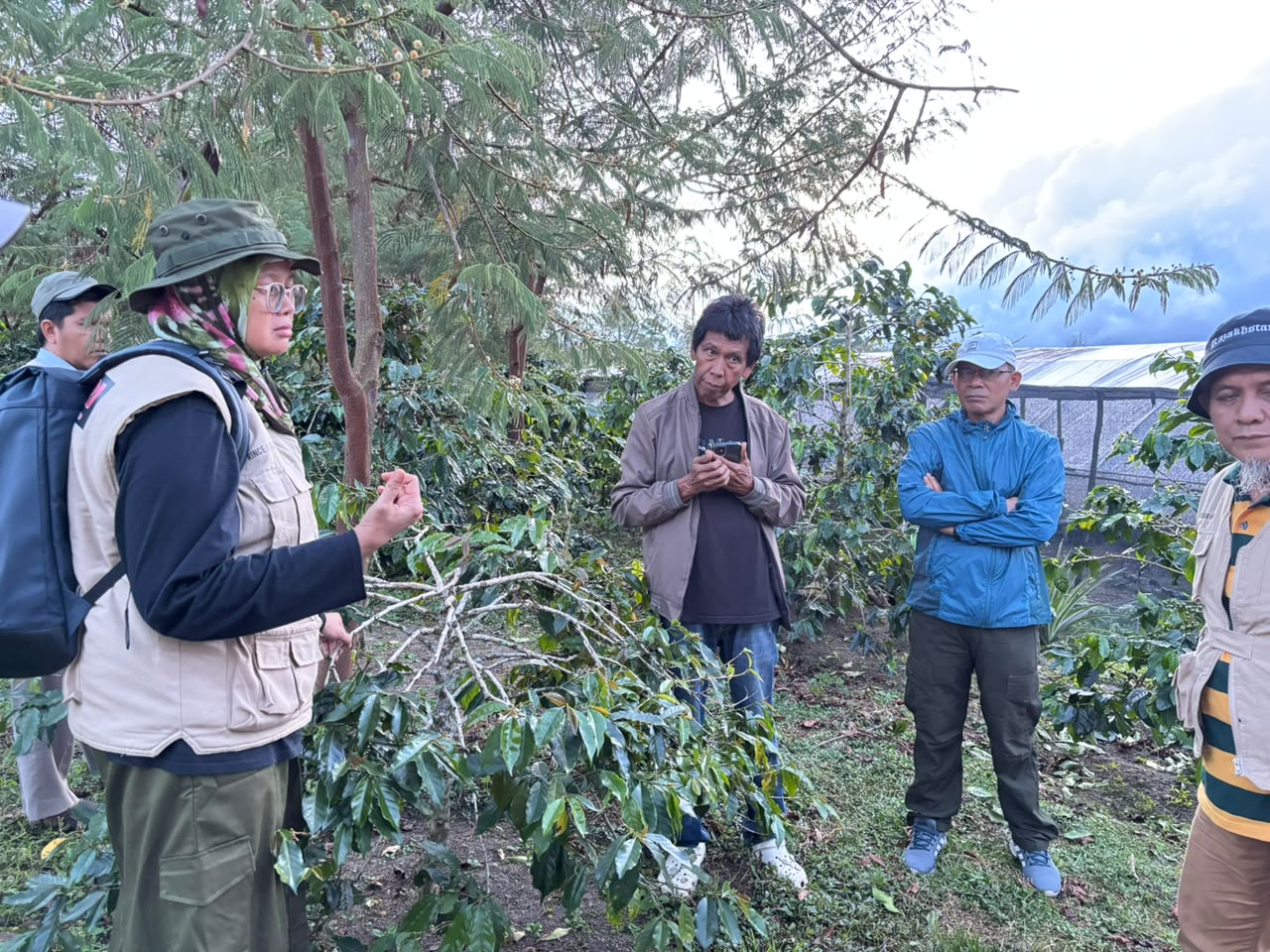 Koperasi PT Penabur Benih Indonesia Dampingi 911 Petani Kopi Lintong Tingkatkan Kualitas dan Akses Pasar Global